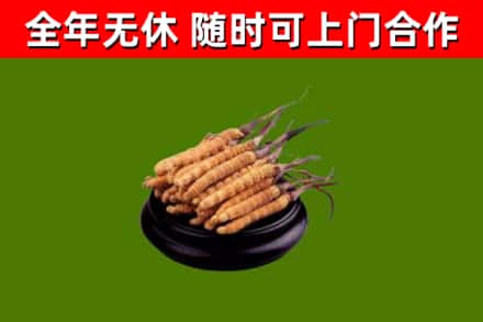 雅安市烟酒回收冬虫夏草.jpg